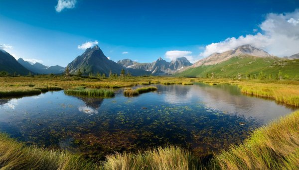 Unearthing Windsor's Royal Heritage: An In-Depth Look at the British Monarchy's Historic Impact