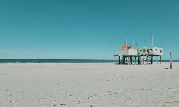 Unveiling Treasures: The Definitive Guide to Top Local Festivals in the Scottish Borders